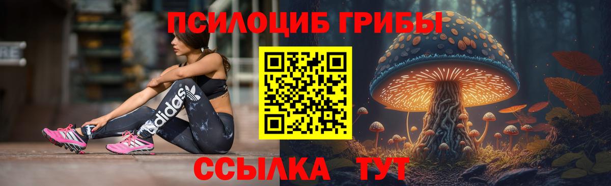 Псилоцибиновые грибы прущие грибы Солнечногорск